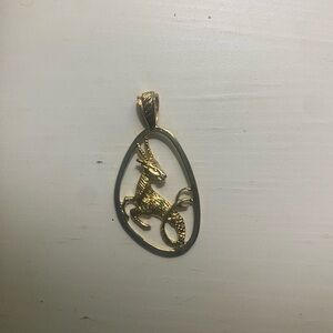 Gold Capricorn Pendant